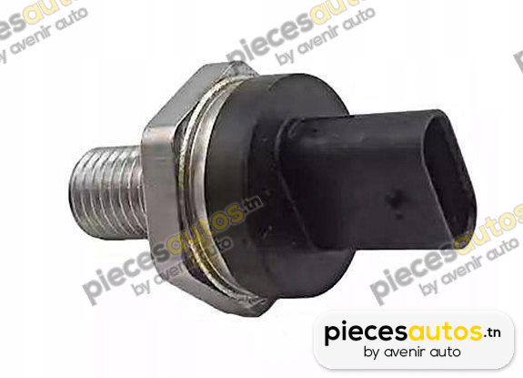 Indicateur de pression d'huile Bapmic BF0423490022