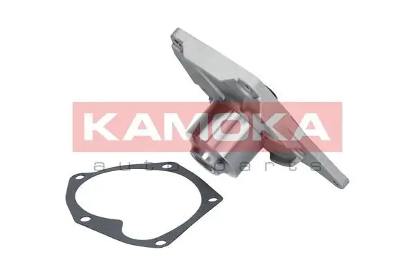 Pompe à eau KAMOKA T0214
