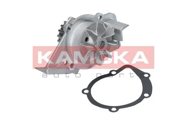 Pompe à eau KAMOKA T0095
