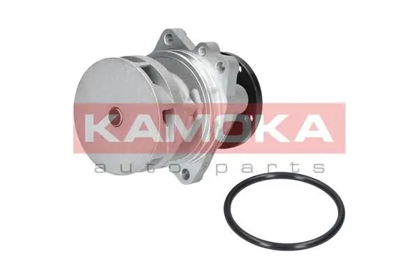 Pompe à eau KAMOKA T0059