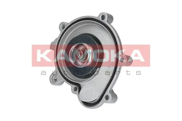 Pompe à eau KAMOKA T0194