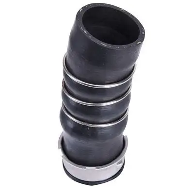 Durite turbo Bapmic BF0422700310