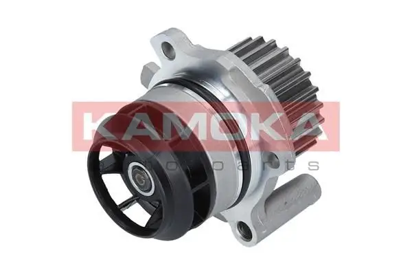 Pompe à eau KAMOKA T0022