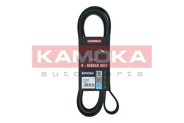 Courroie KAMOKA 7017045
