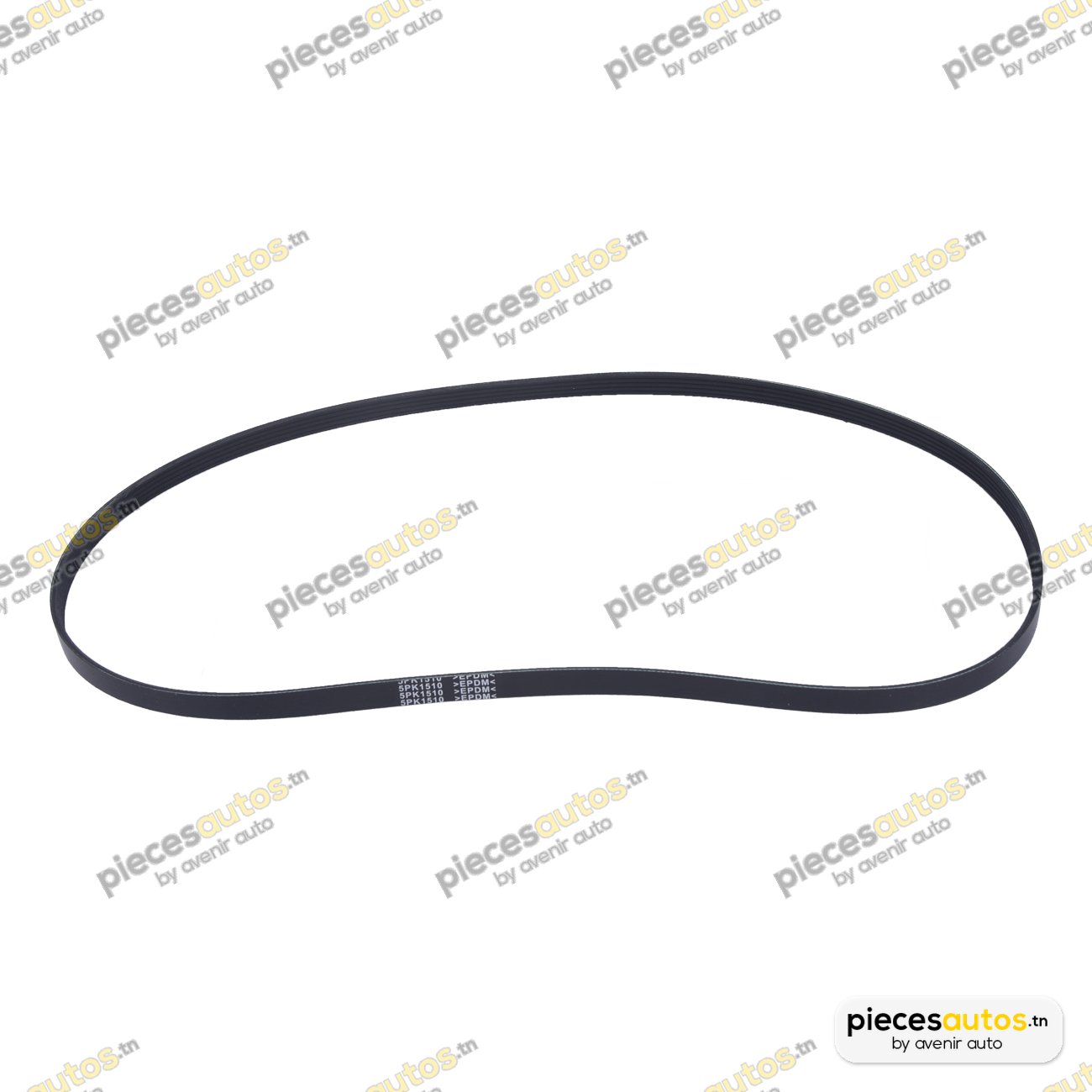 Courroie Bapmic BF0427580053