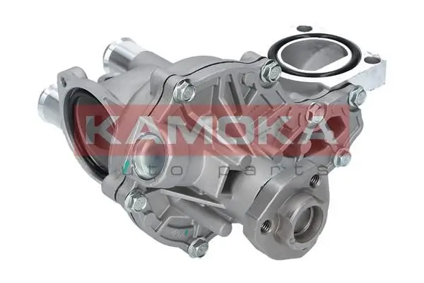 Pompe à eau KAMOKA T0043