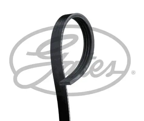 Courroie GATES 4PK813