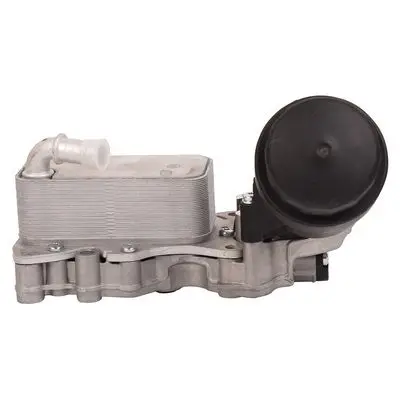 Radiateur d'huile Bapmic BF0423470005