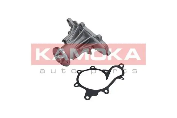 Pompe à eau KAMOKA T0277