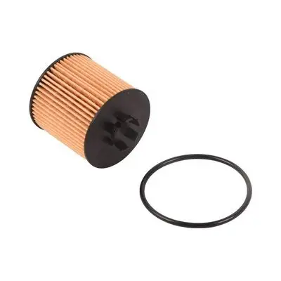 Filtre à huile Bapmic BF0423470060