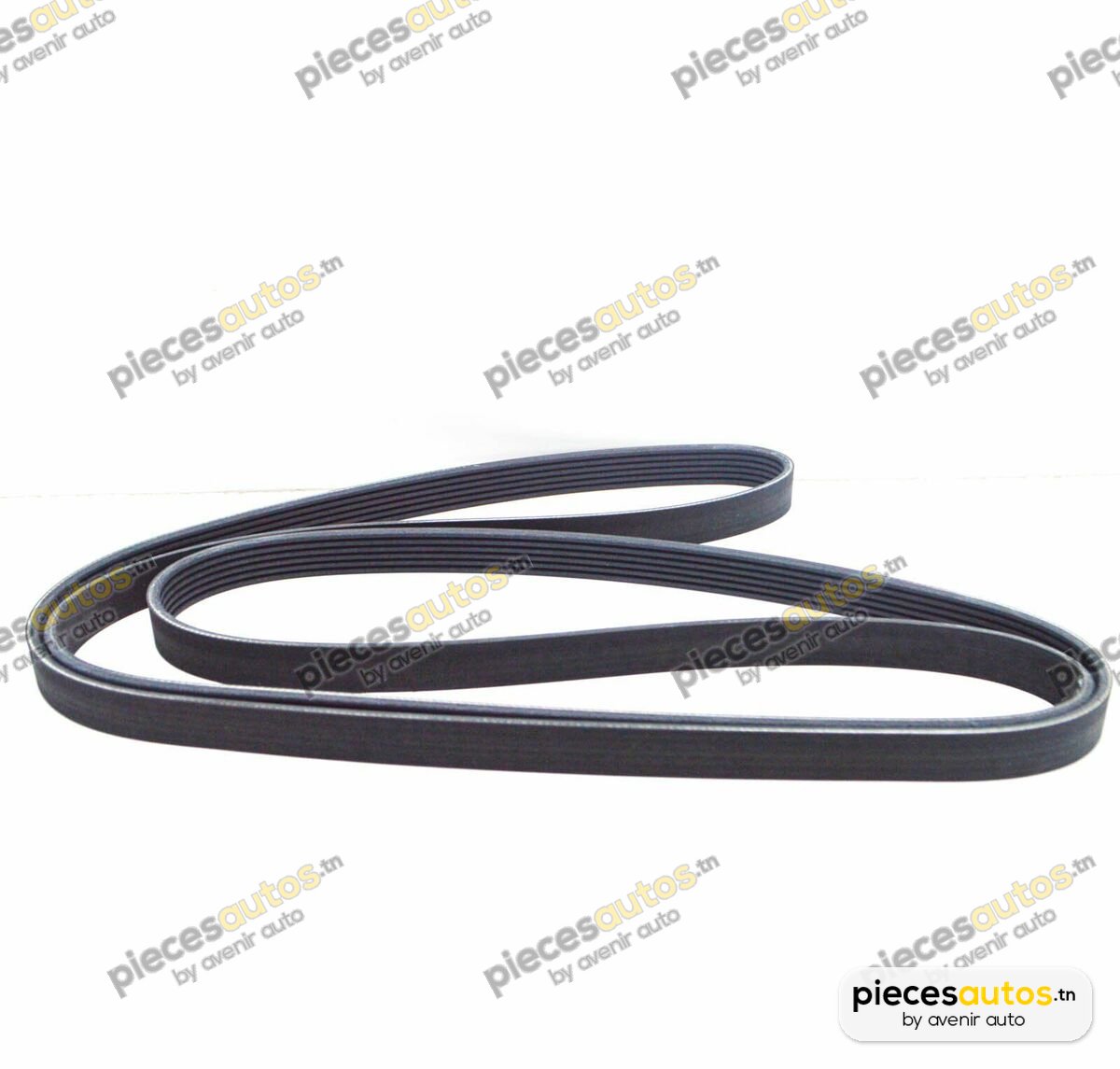 Courroie Bapmic BF0427580193