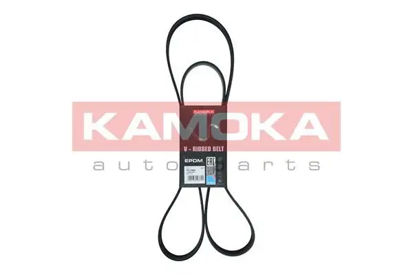 Courroie KAMOKA 7017025