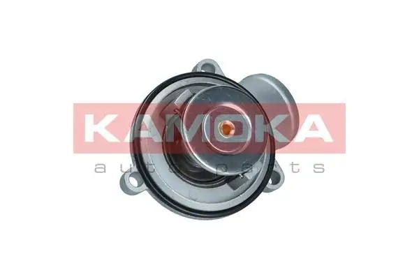 Boîtier du thermostat KAMOKA 7710086