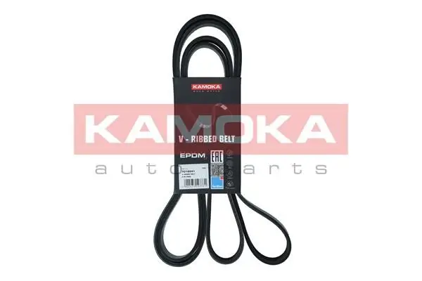 Courroie KAMOKA 7016241