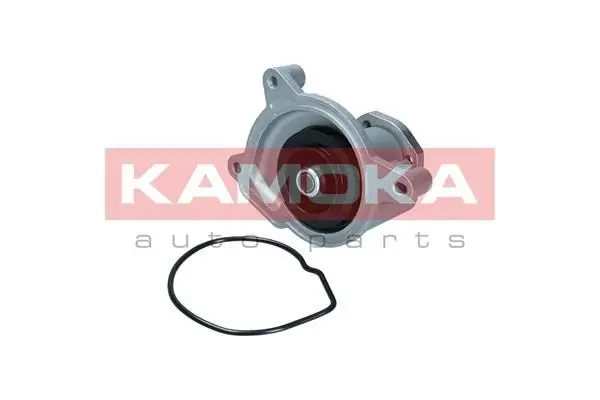 Pompe à eau KAMOKA T0021