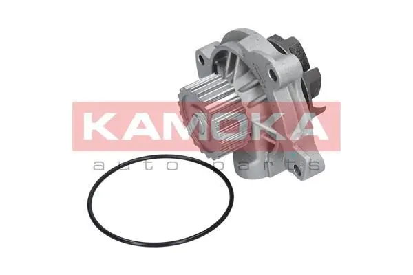 Pompe à eau KAMOKA T0042