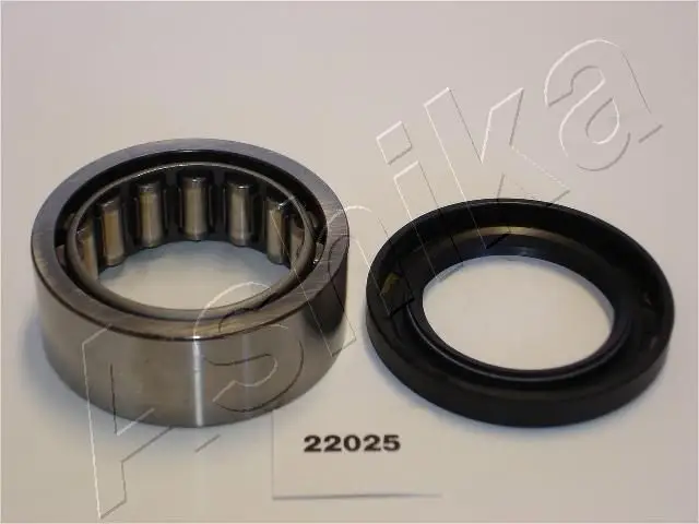 Kit de roulements de roue ASHIKA 44-22025
