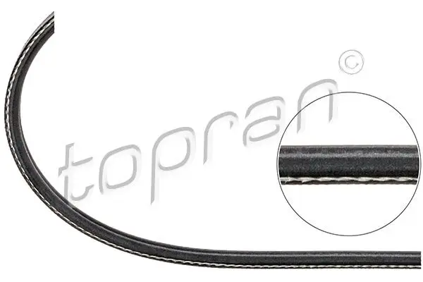 Courroie TOPRAN 109 623