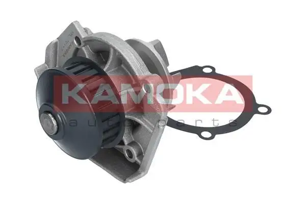 Pompe à eau KAMOKA T0117