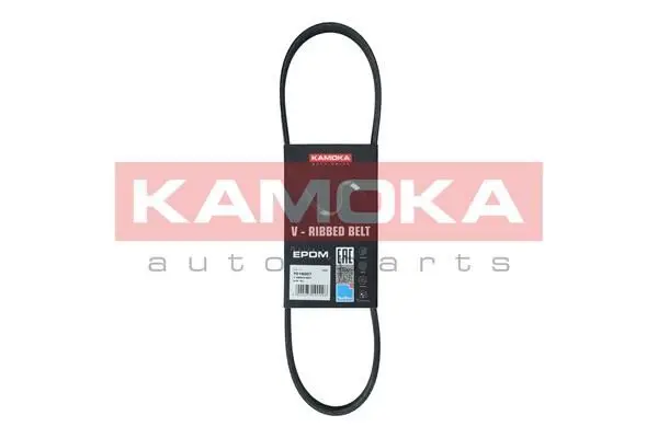 Courroie KAMOKA 7016007