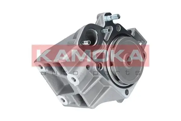 Pompe à eau KAMOKA T0098