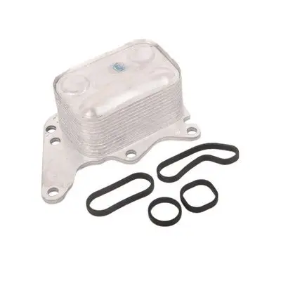 Kit de fixation, radiateur d’huile Bapmic BK0435490001
