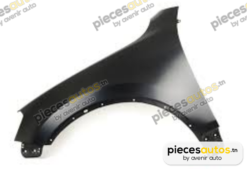 Aile Bapmic BF0110470095
