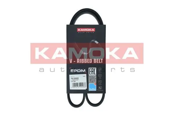 Courroie KAMOKA 7015020