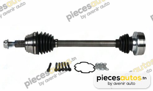 Cardan Bapmic BF0319980032