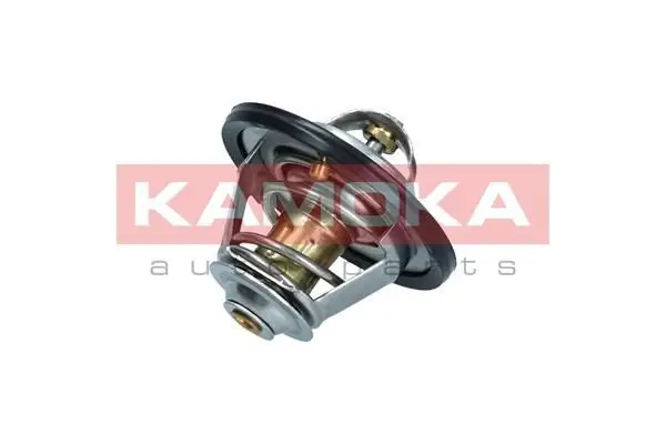 Thermostat d'eau KAMOKA 7710129
