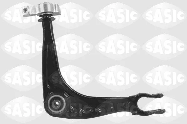 Bras et Triangle suspension SASIC 5203N63