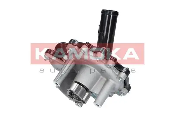 Pompe à eau KAMOKA T0096