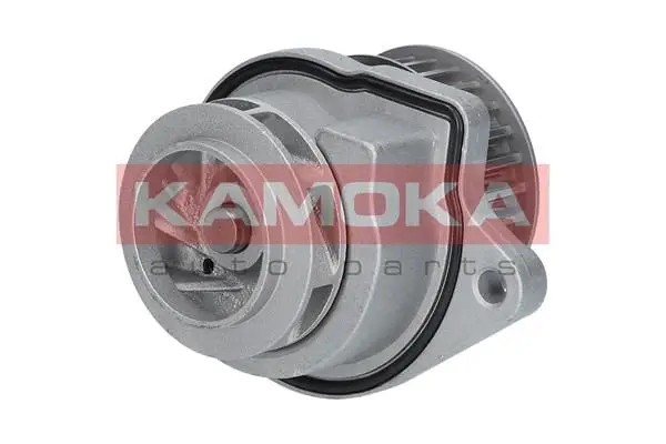 Pompe à eau KAMOKA T0248