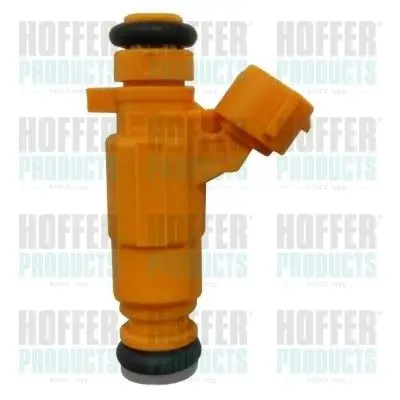 Injecteur HOFFER H75114427