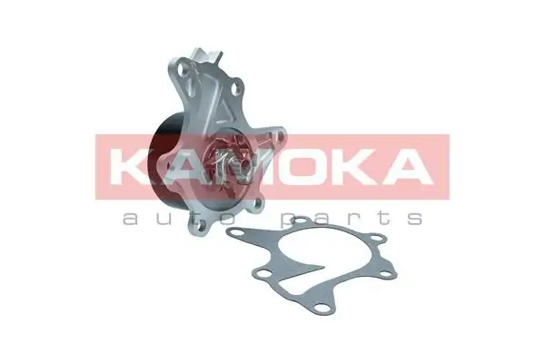Pompe à eau KAMOKA T0302