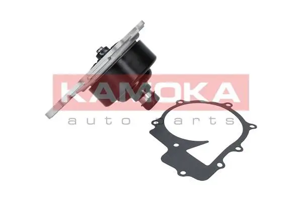 Pompe à eau KAMOKA T0200