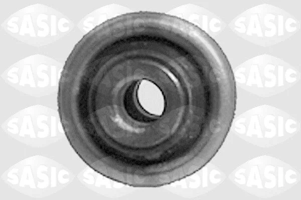 Bras et Triangle suspension SASIC 5233913