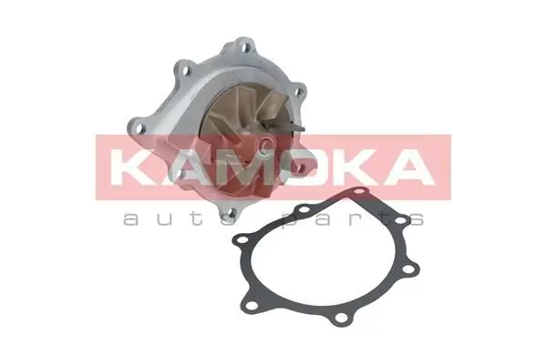 Pompe à eau KAMOKA T0094