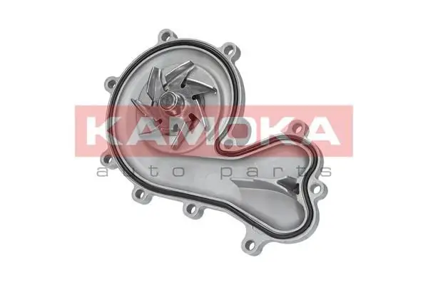 Pompe à eau KAMOKA T0036