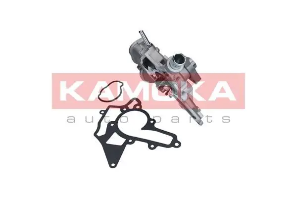 Pompe à eau KAMOKA T0226