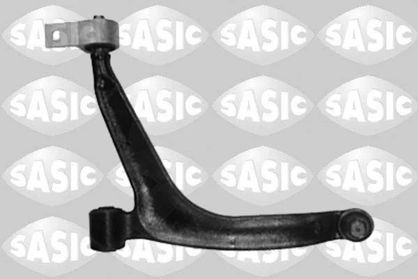 Bras et Triangle suspension SASIC 5203J33