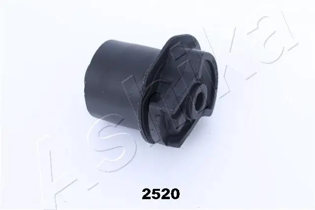 Suspension, corps de l'essieu ASHIKA GOM-2520