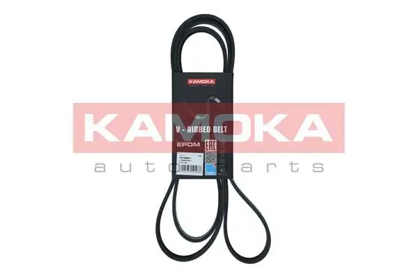Courroie KAMOKA 7016201