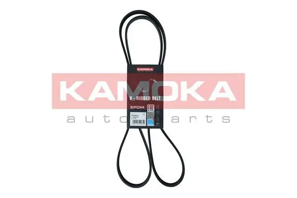 Courroie KAMOKA 7015077