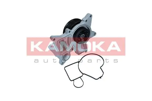 Pompe à eau KAMOKA T0298