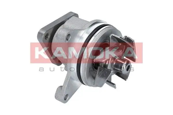 Pompe à eau KAMOKA T0136
