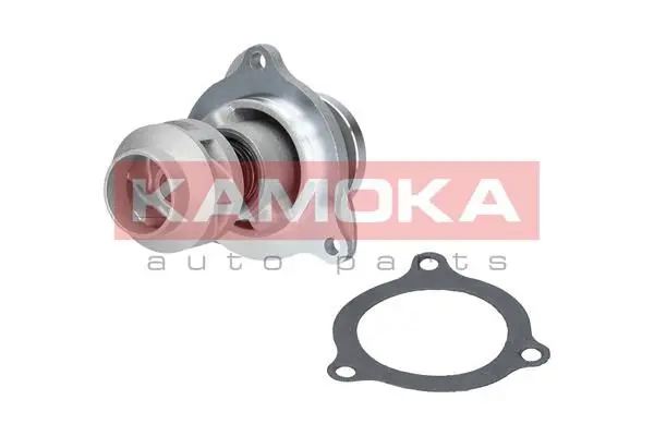 Pompe à eau KAMOKA T0135