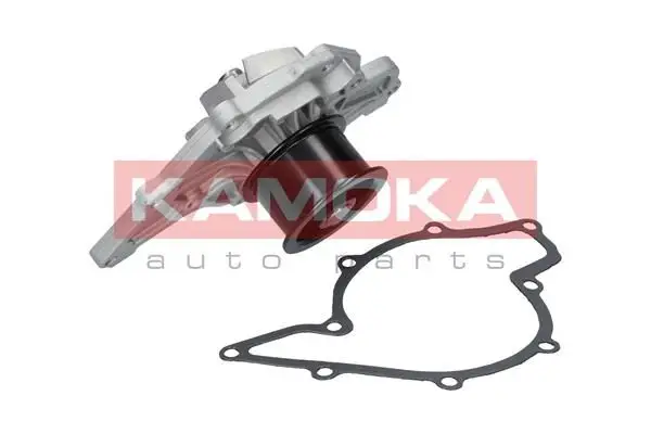 Pompe à eau KAMOKA T0040
