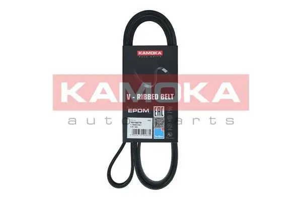 Courroie KAMOKA 7015075