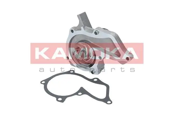 Pompe à eau KAMOKA T0134